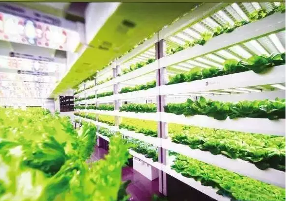 南京諾爾迅亮化，照明亮化工程